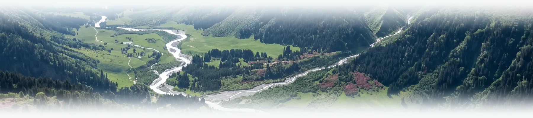 A braided river across a green valley floor, seen from above.